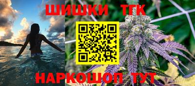 гидра Славгород