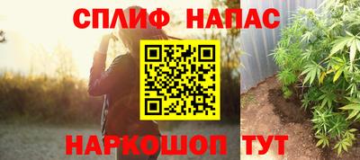 гидра Славгород