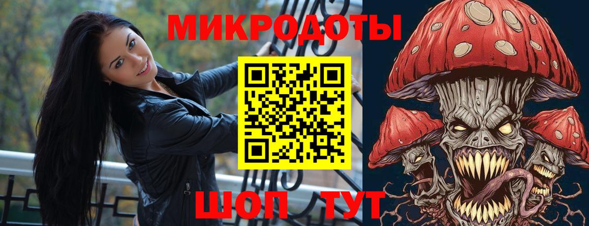 Псилоцибиновые грибы Cubensis Нягань